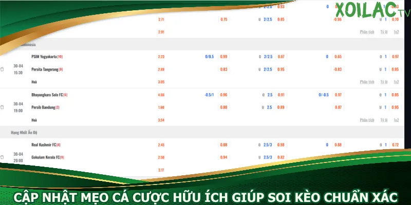 cap-nhat-meo-ca-cuoc-huu-ich-giup-soi-keo-chuan-xac