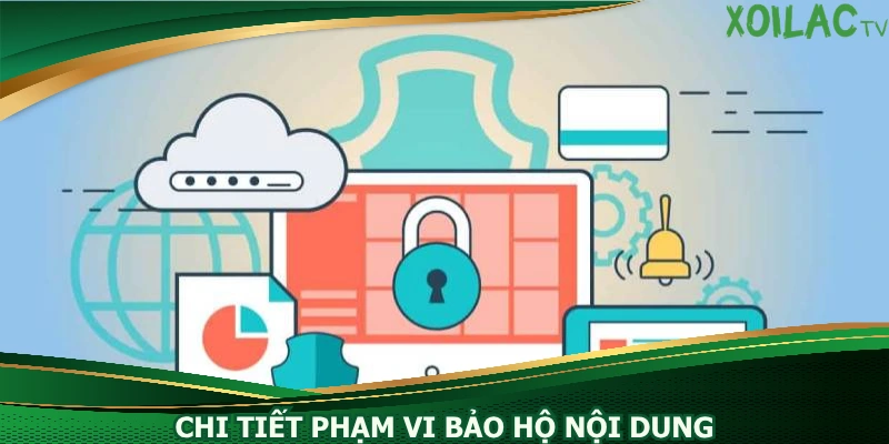 chi-tiet-pham-vi-bao-ho-noi-dung