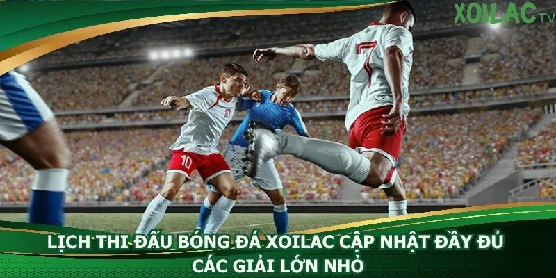 lich-thi-dau-bong-da-xoilac-cap-nhat-day-du-cac-giai-lon-nho