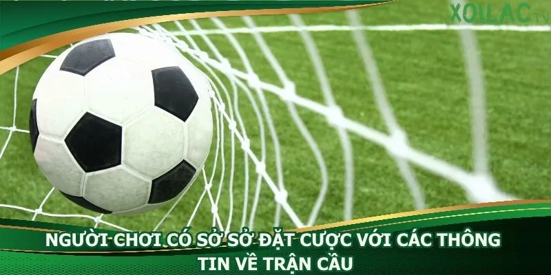 nguoi-choi-co-so-so-dat-cuoc-voi-cac-thong-tin-ve-tran-cau
