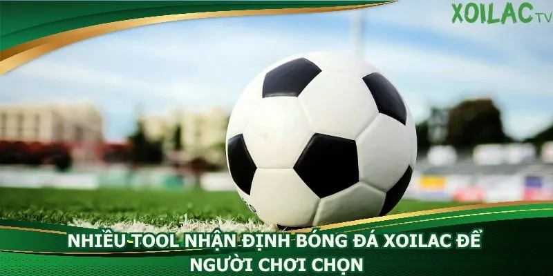 nhieu-tool-nhan-dinh-bong-da-xoilac-de-nguoi-choi-chon