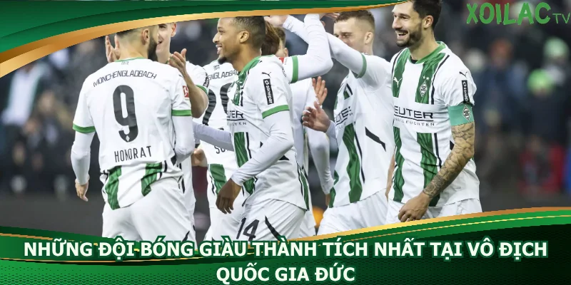 nhung-doi-bong-giau-thanh-tich-nhat-tai-vo-dich-quoc-gia-duc