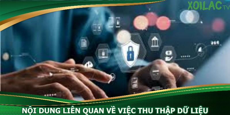 noi-dung-lien-quan-ve-viec-thu-thap-du-lieu