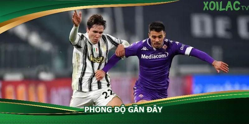 phong-do-gan-day-cua-fiorentina-vs-genoa