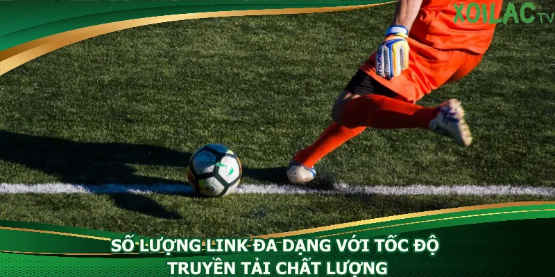 so-luong-link-da-dang-voi-toc-do-truyen-tai-chat-luong