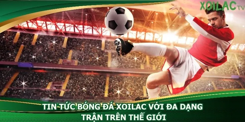 tin-tuc-bong-da-xoilac-voi-da-dang-tran-tren-the-gioi