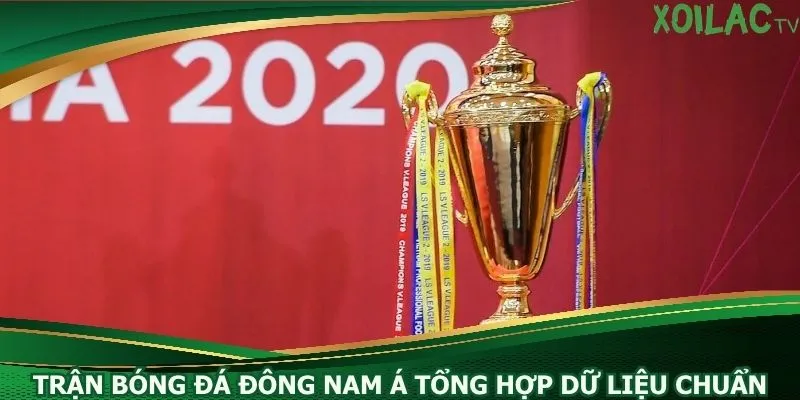 tran-bong-da-dong-nam-a-tong-hop-du-lieu-chuan