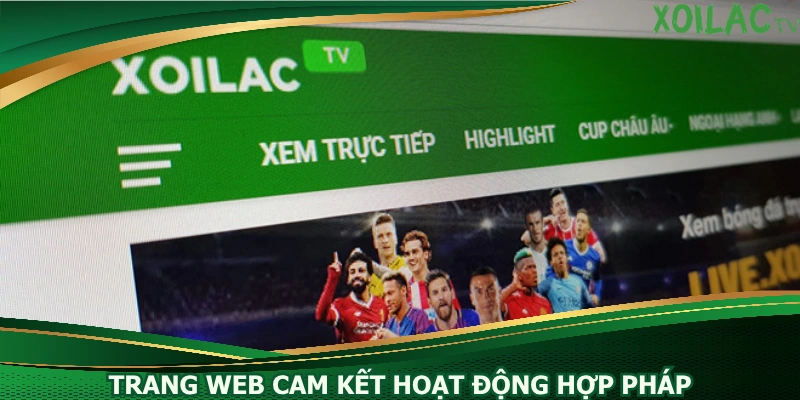 trang-web-cam-ket-hoat-dong-hop-phap