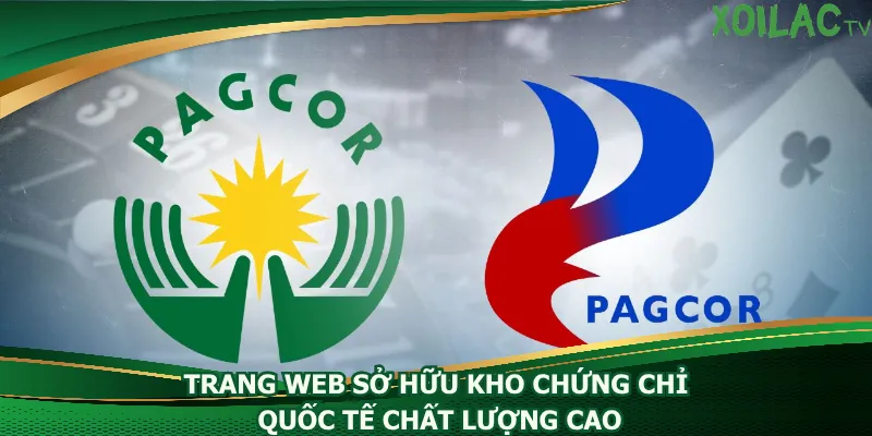 trang-web-so-huu-kho-chung-chi-quoc-te-chat-luong-cao