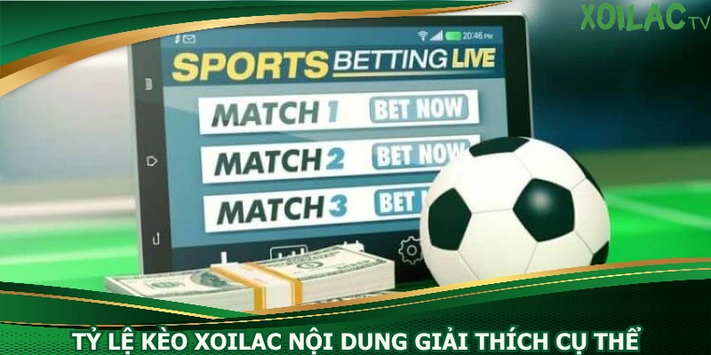 ty-le-keo-xoilac-noi-dung-giai-thich-cu-the